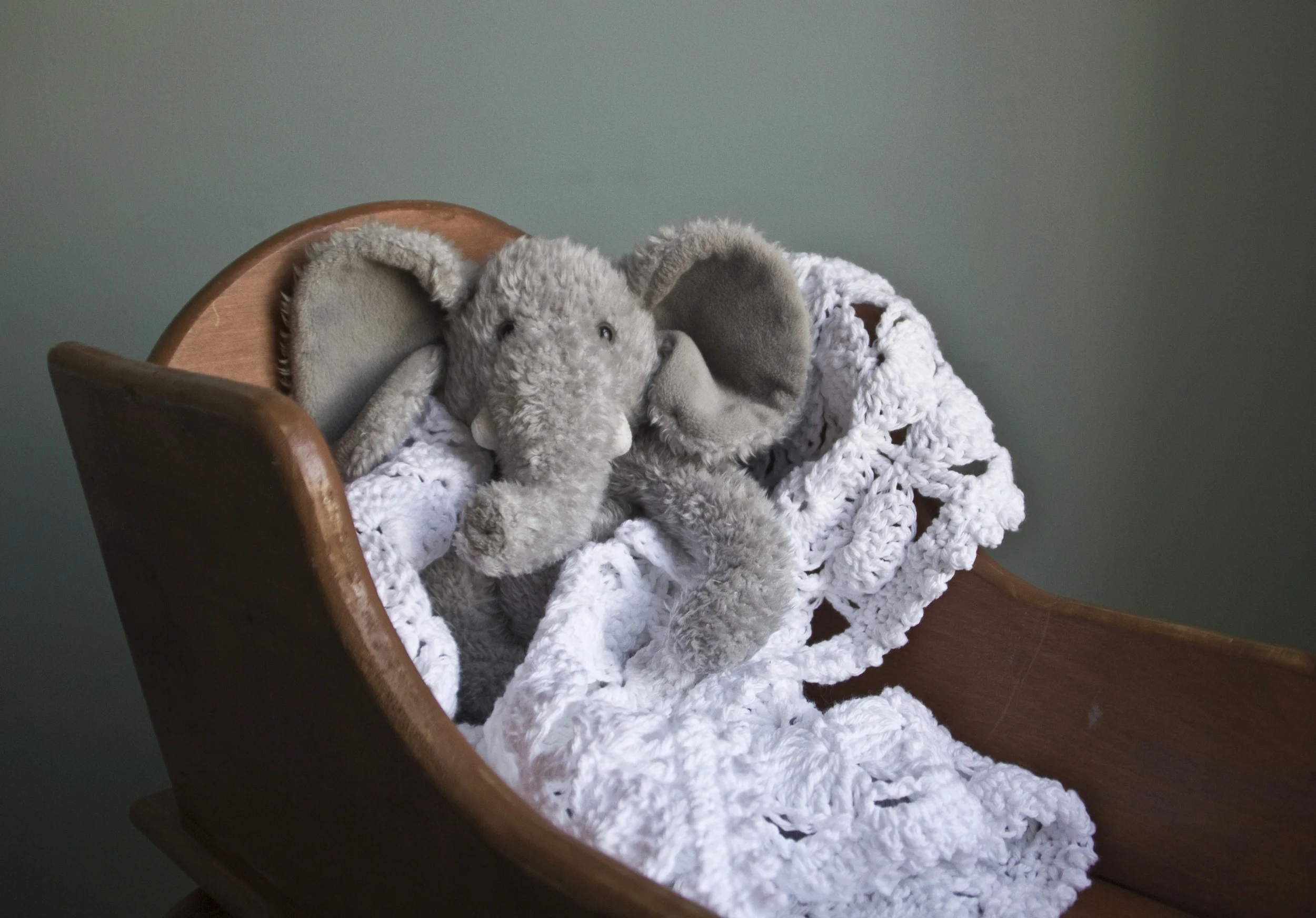 ElephantHorizontal022714CC.jpg