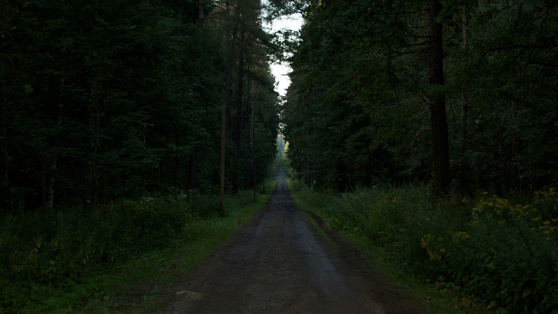 Lore 2012