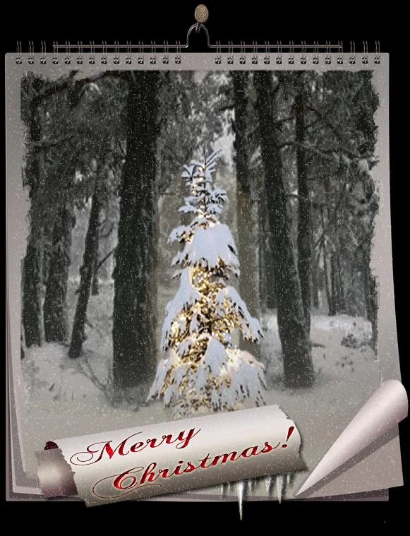 christmas calendar.jpg