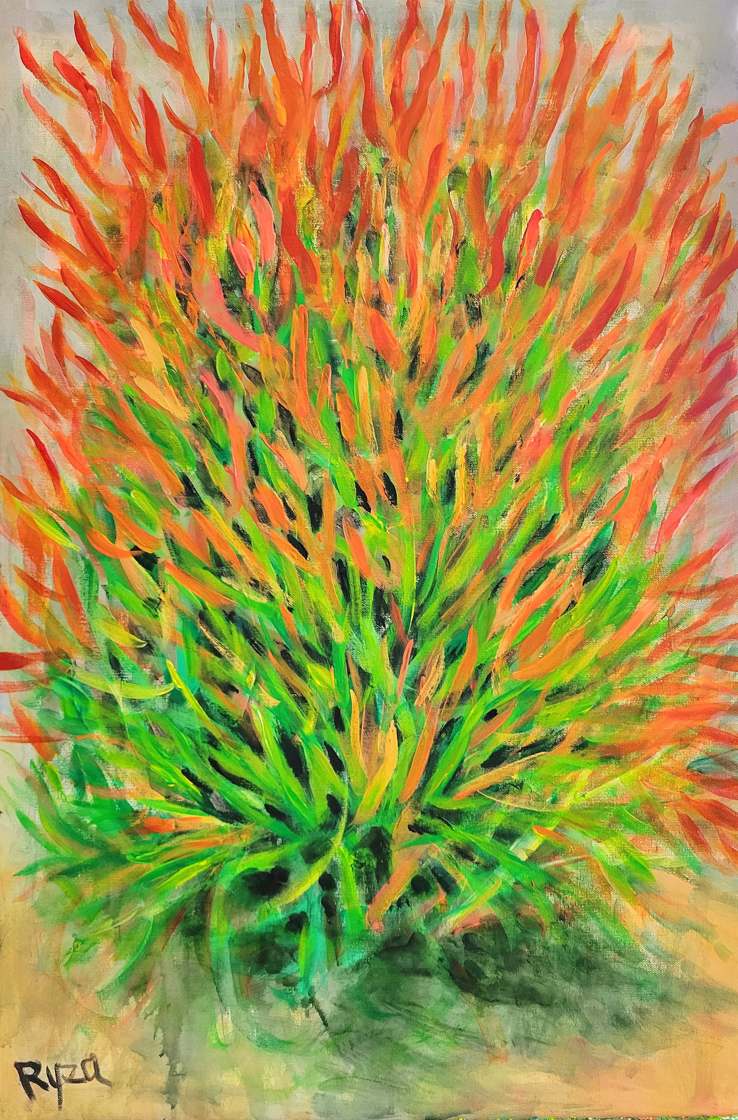 Orange Cactus