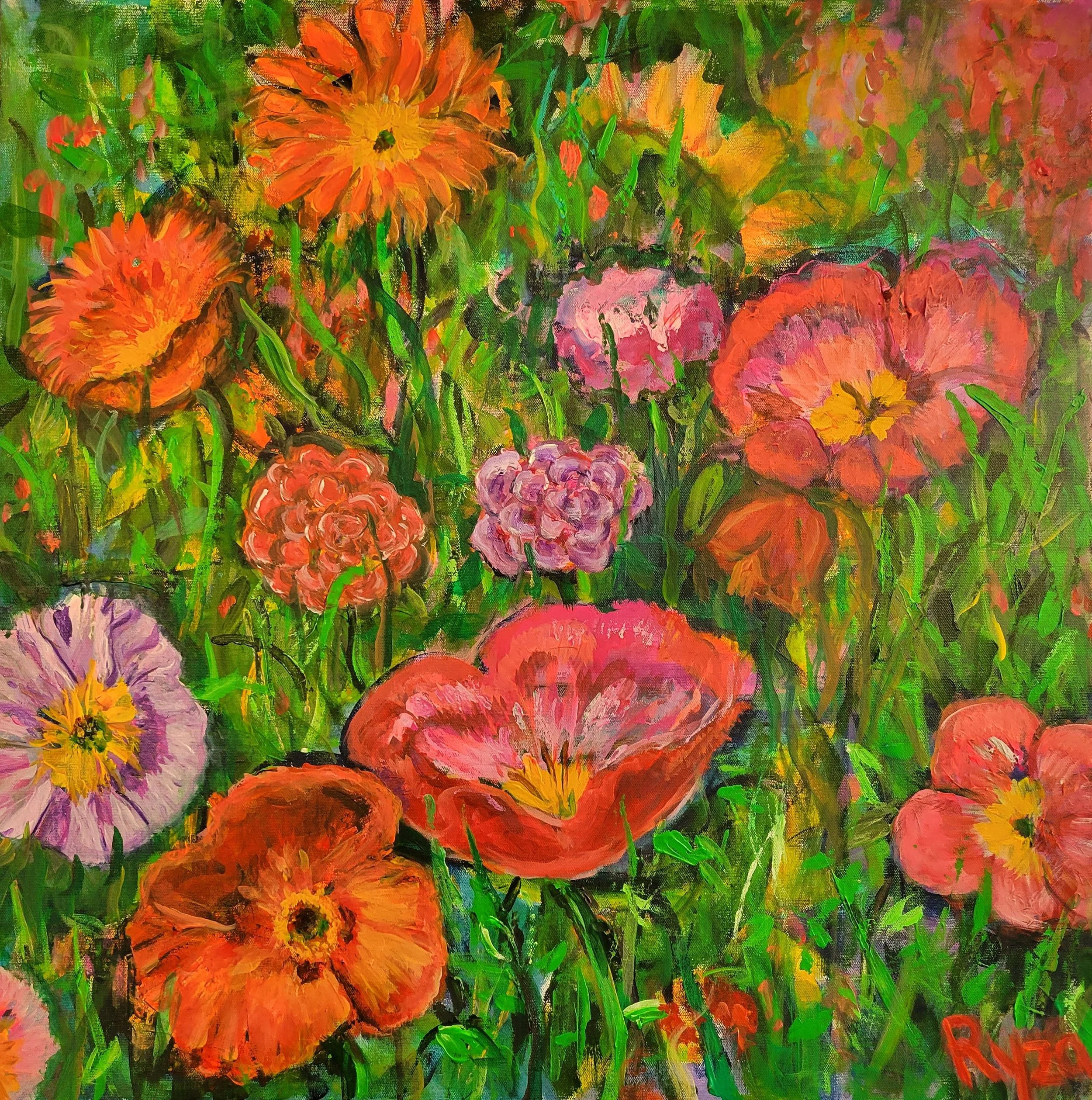 Icelandic Poppies