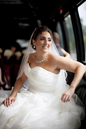  Gina's veil, earrings, &amp; necklace 