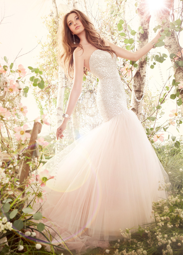 Beaded Wedding Dresses & Couture Bridal Gowns | Val Stefani