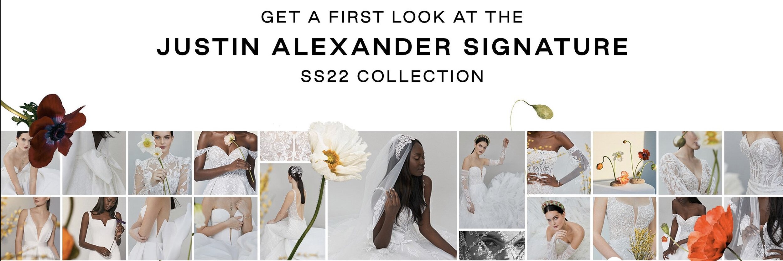 Screen Shot 2021-09-16 at 11.55.32 PM.jpg