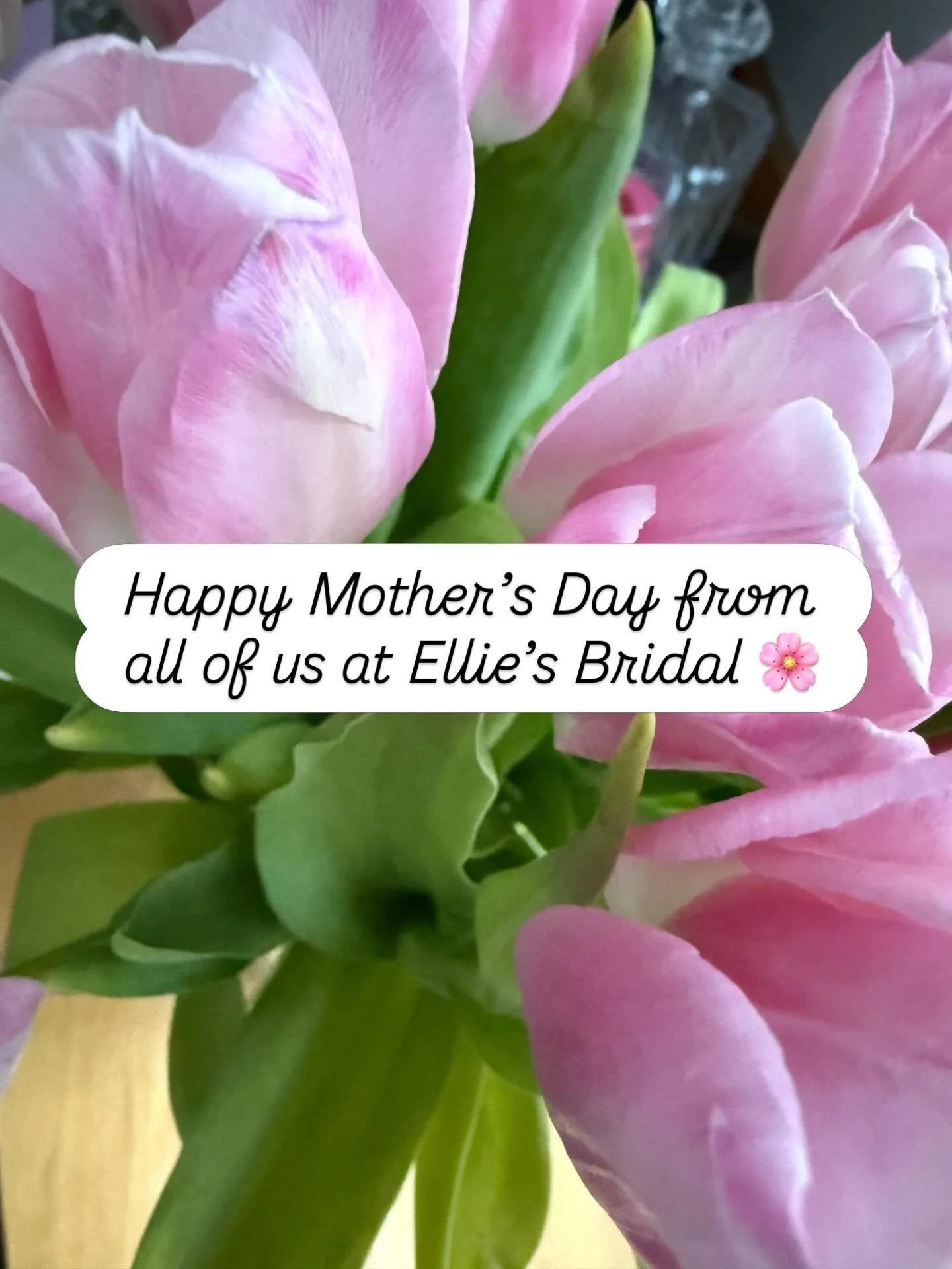 Happy Mother&rsquo;s Day to the moms, grandmas, bonus moms, mother figures, and everyone helping our brides say &ldquo;yes&rdquo; along the way 🤍

From happy tears in the fitting room to fixing veils, carrying dresses, and being there for every mome