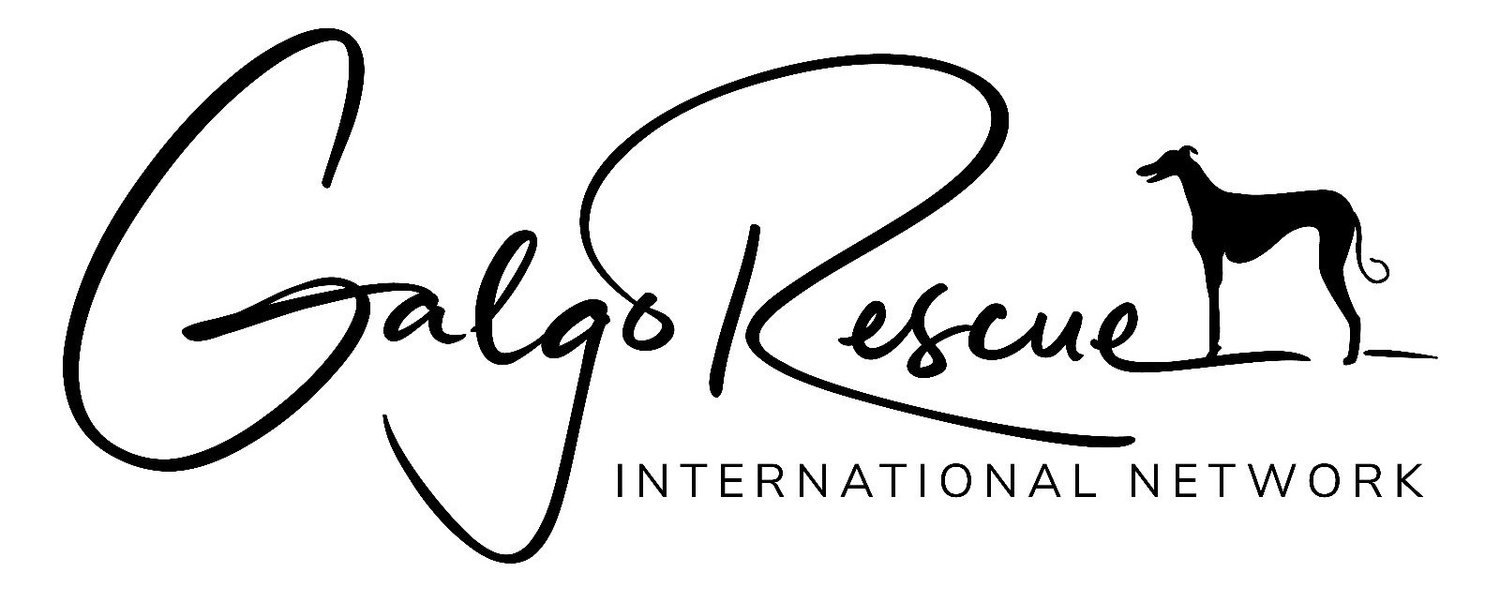 Galgo Rescue International Network