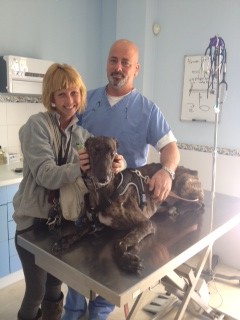 Ebro with Char and Dr. Paco