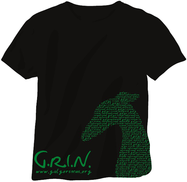 GRIN-tshirt.png