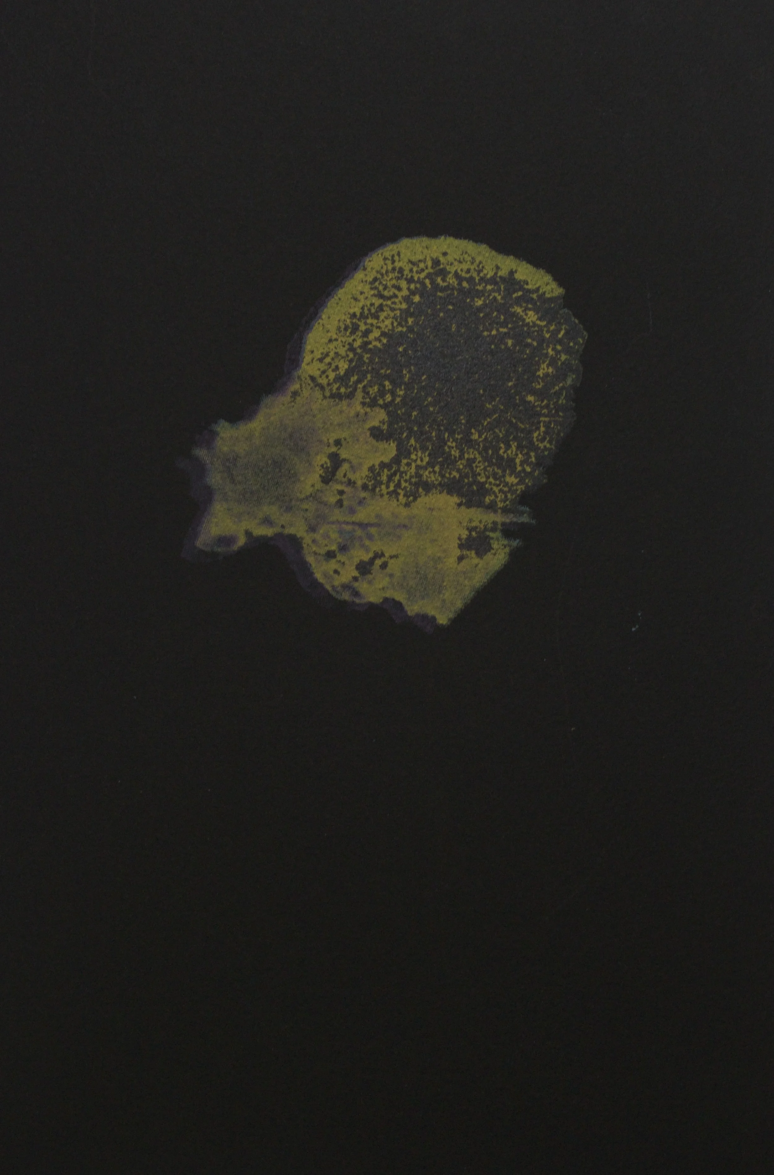 Memory orbs (H2O/oxygen/flora) 2014-2015 1 of 9 (edition 1/3), screen print on black Somerset paper, 18cm x 29cm Completed on residency in Scotland UK, WASPS Artist Studios in association with DCA, Dundee Contemporary Arts Print Studio , Dundee, Scotland, UK Memory orbs , 2014-2015 is a body of work which evolved over a period of six months whilst the artist was overseas. Raffan had commenced the work with a series of photographic collages, constructed from alchemical groupings. Broken down into images of ice, icebergs, snow, water, rocks, sand, crystals, moss, lichen, seagrass and spinifex, Raffan grouped the works into three series; H2O, Minerals and H2O/oxygen/flora. Whilst toying with traditions of four colour separation screen prints, Raffan has shifted the colour scheme, and the registration; leaving the prints slightly misalligned, yet affording them a glow, vibrating like quality enhancing what their titles suggest. Memory orbs , collections of small incredible moments in time, gathered together to make something other, uncategorised and magical. The Memory orbs (minerals) series was a selected finalist for the Fremantle Arts Centre Print Award 2015.