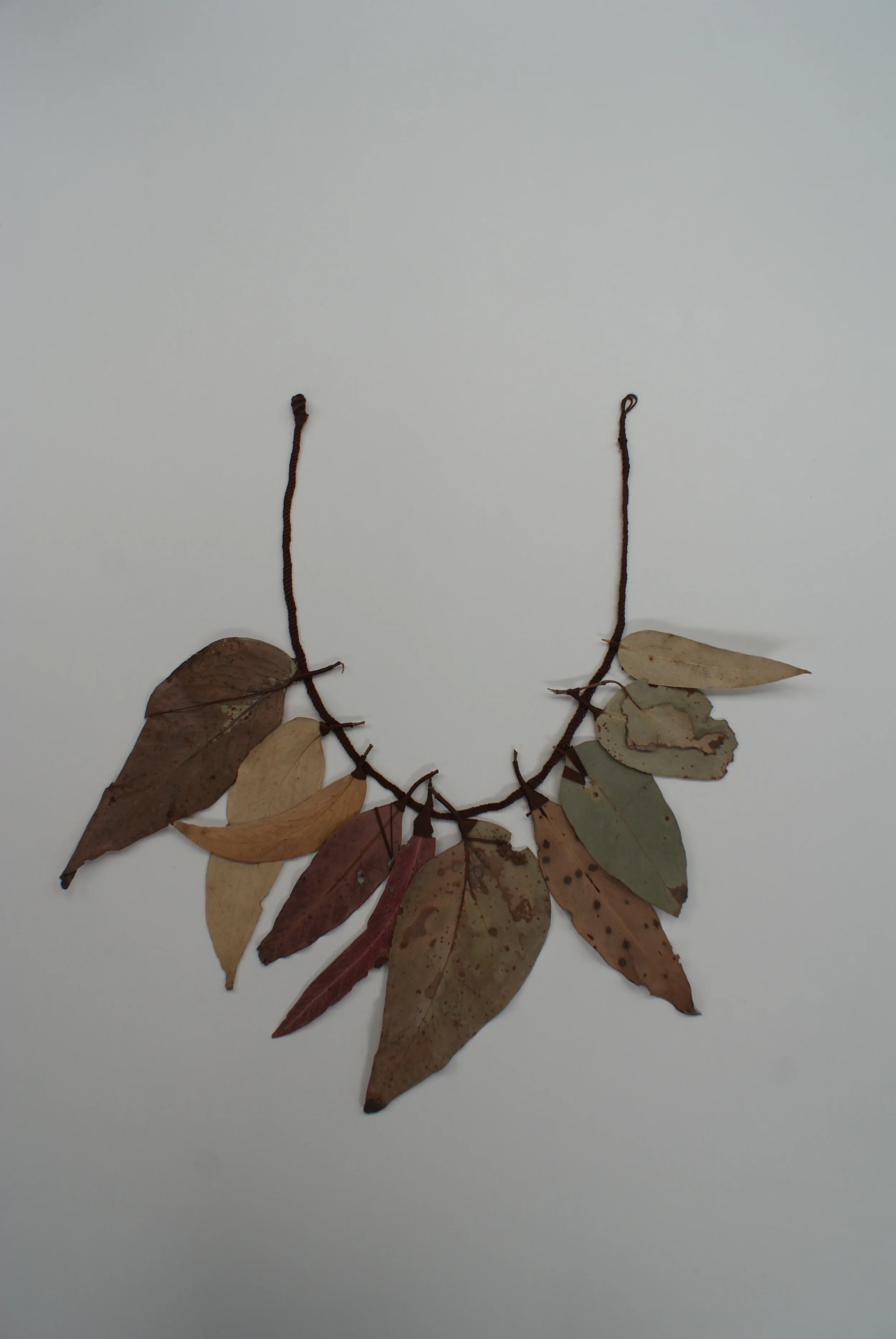 Northern Cape Diamonds , 2012 Necklace from site specific performance: french cotton and found Australian native leaves. Dimensions variable. Northern and Southern Cape Diamonds , 2012 came about after Raffan had spent some time hiking on Bruny Island, Tasmania. A popular destination for avid nature lovers, twitchers and hikers alike, Raffan set out on a series of hikes alone to navigate the north and south sides of the island. Whilst navigating both terrains, two particular hikes stood out, having collected amongst the rocks, shrubs, rain, hail and shine, Raffan started seeking out particular leaves from each trip. Using her own gauge of disconnect to place, she sorted out making adornments of beauty to familiarise herself with her surrounding terrain. Revisiting each hike on numerous occasions, she labelled them the Northern and Southern Capes. It was from this new found philosophy Raffan draws connections between land, home, dis/comfort, instinct, reason, un/discovery, non/invasive, local and foreign. Throughout this journey her work evolves into two hand woven necklaces made from leaves and cotton, which are affiliated; one to the north and the second to the south. After completing the necklaces, Raffan revisits each hike on separate days to perform a releasing ceremony. Sleep, wake, eat, walk, 3 hours in, she leaves a necklace under some rocks in the north, 3 hours out; eat, sleep, wake, eat, walk, 3 hours in, she leaves a necklace draped over some sticks in the south, 3 hours out, eat, sleep. After passing only two avid hikers in the off-season, and a few black snakes on her journey's, her treasures have now been offered back to the land and place. What was once common, decaying and overlooked has now become adorned and solidified in the mind, now, just like diamonds. It is from this performance Raffan has also produced a series of relief prints and 20 hand stitched brown paper leaves, 10 from the north, 10 from the south. In association with the Bruny Island Residency , Tasmania, Australia