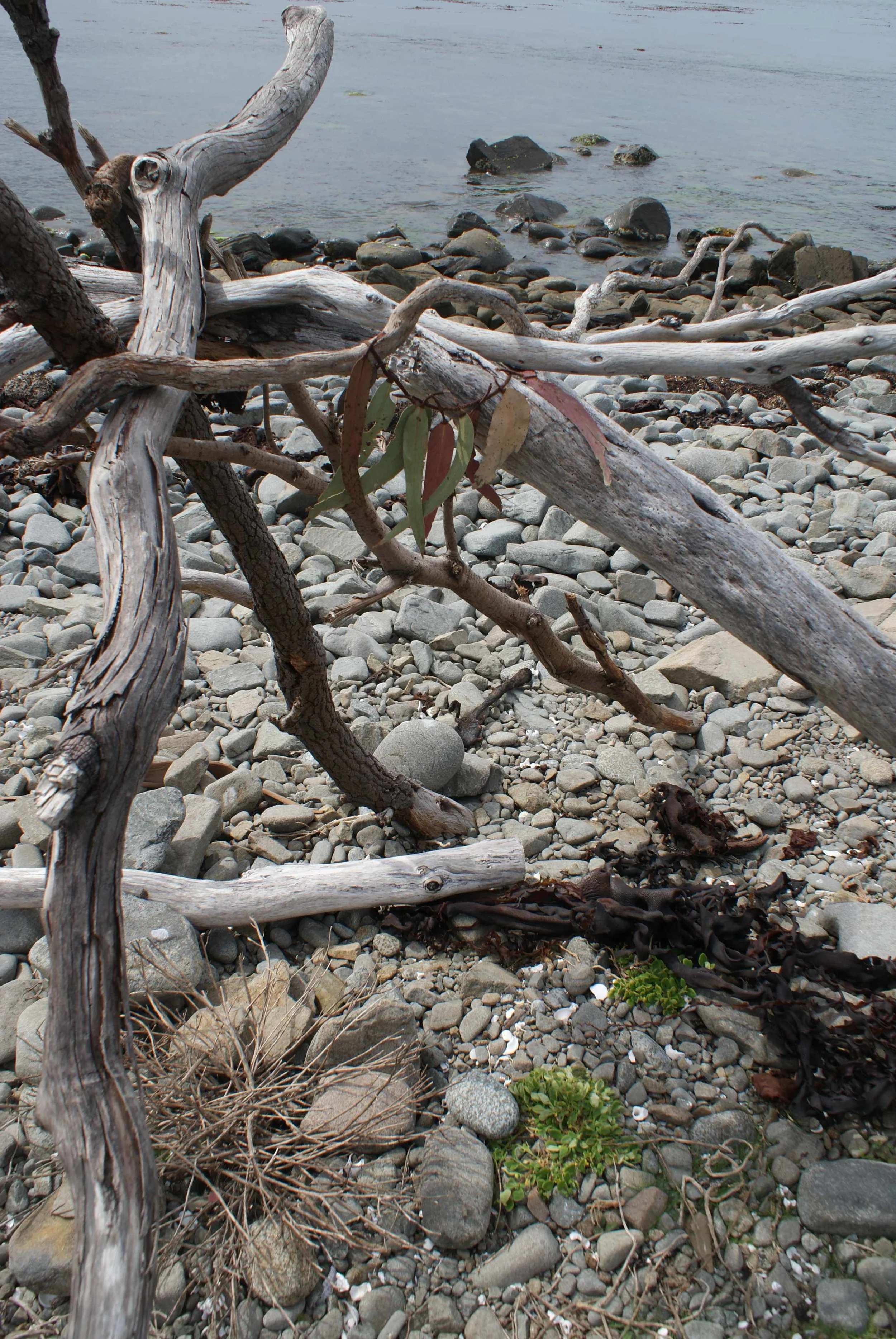 South Necklace Hike 055_web.jpg
