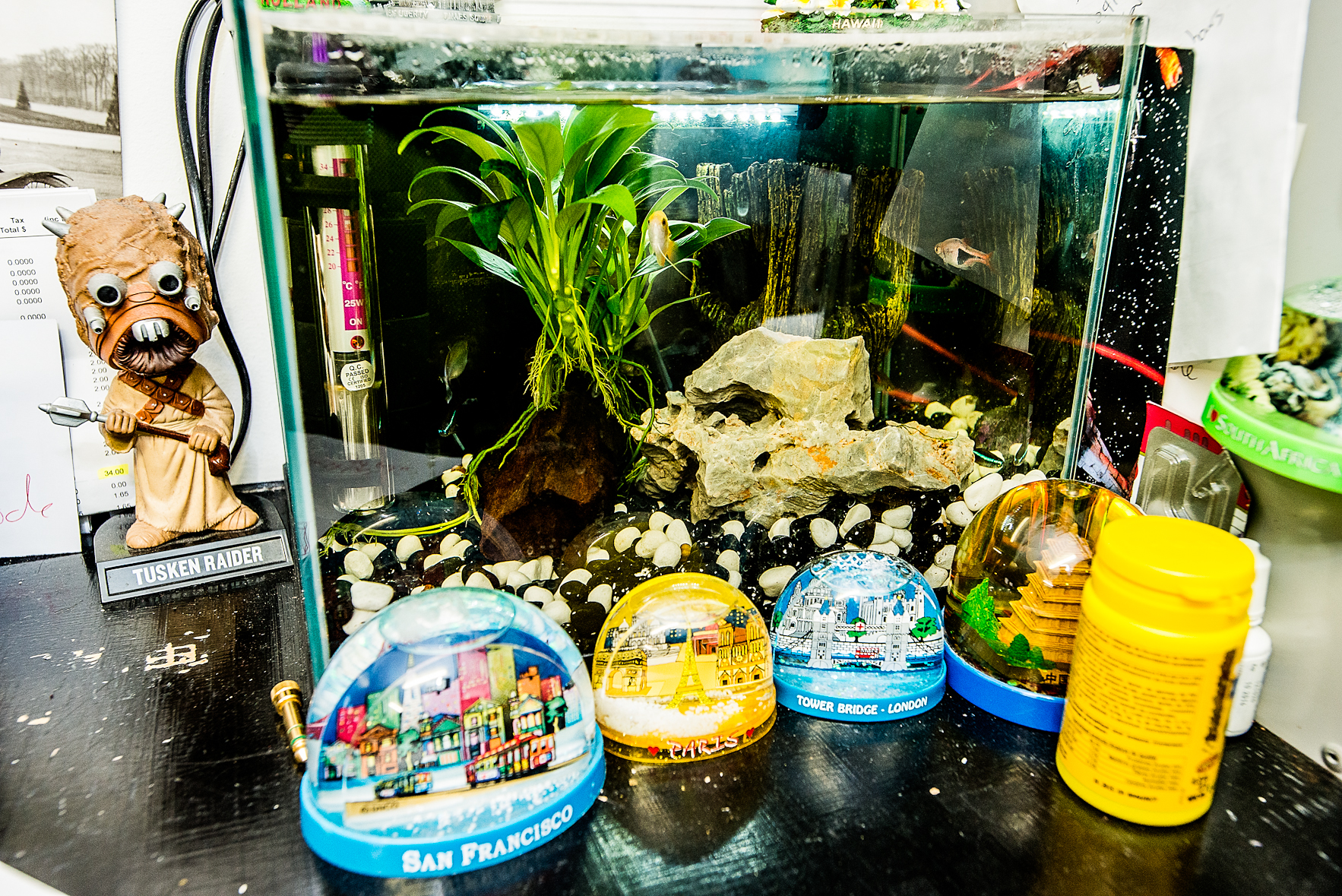 Office Fish Tank : Record Store, Darlinghurst.