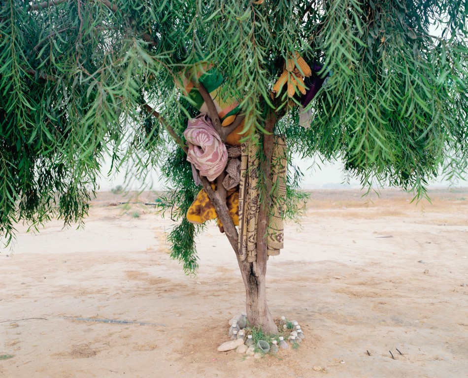 Bisharah and Anwar’s Tree, 2015, Inkjet print, 82X100 cm