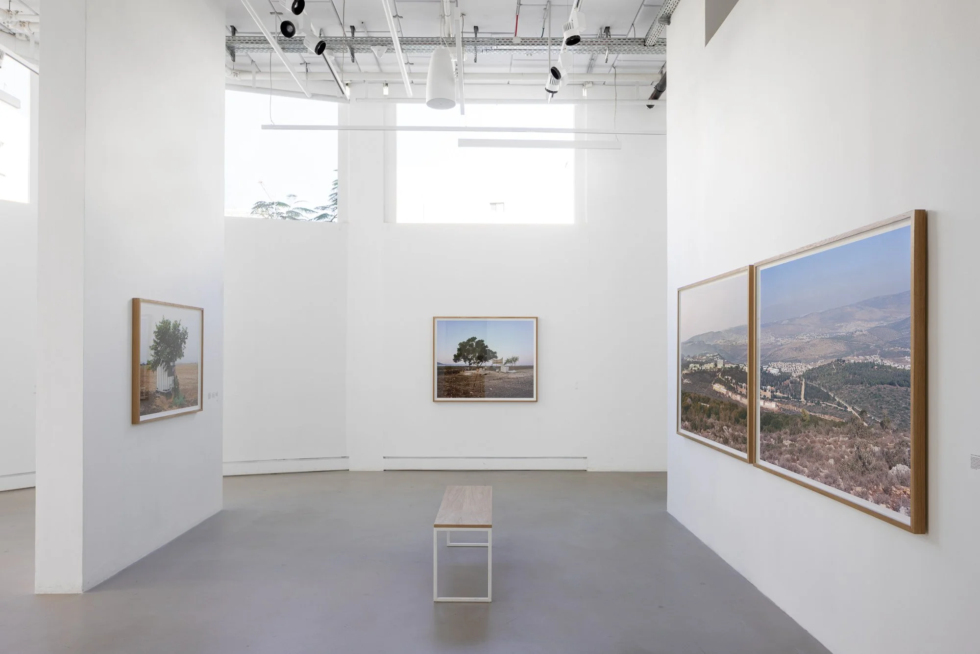 Green Territory, Artport Gallery Tel-Aviv