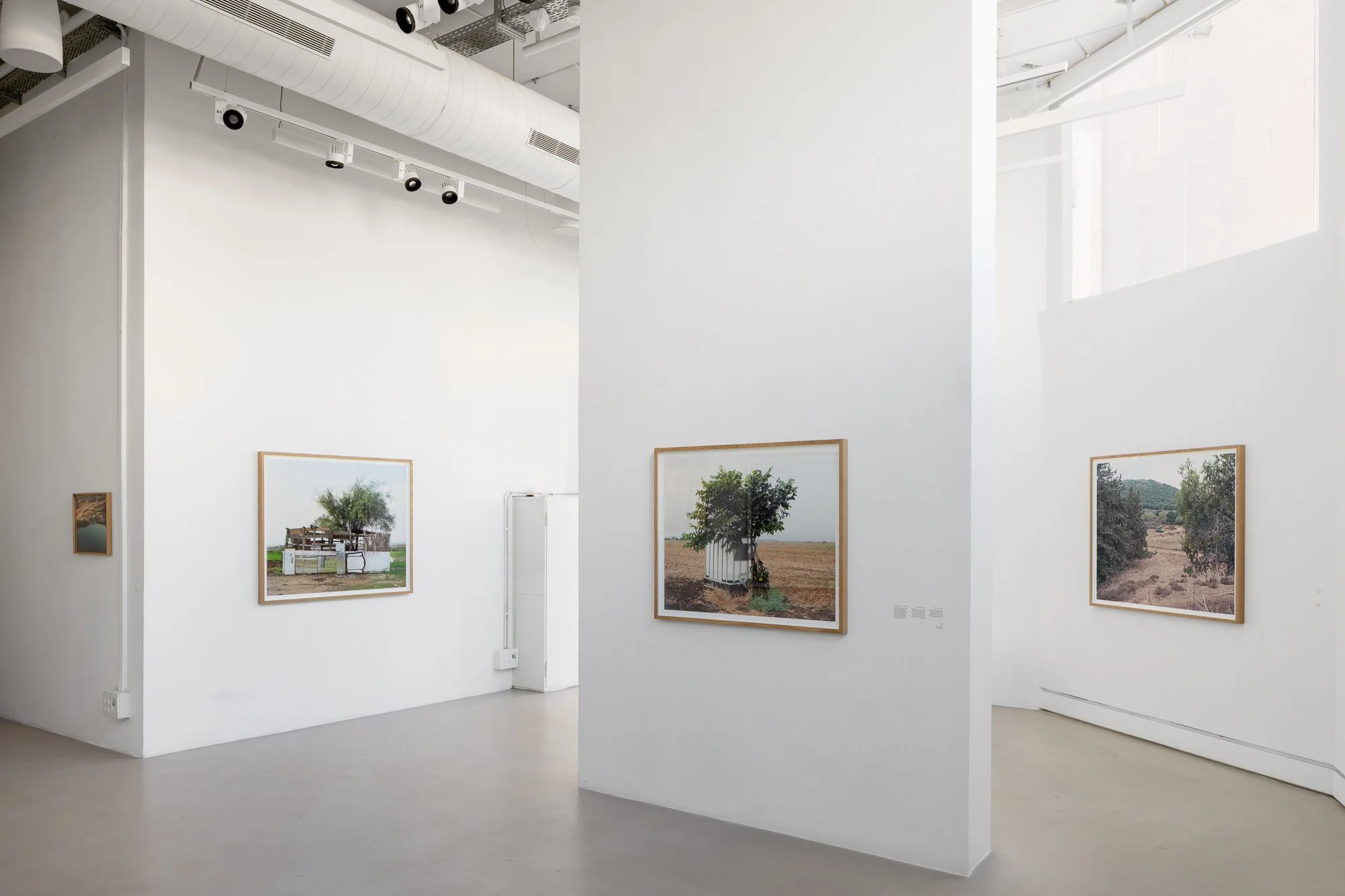 Green Territory, Artport Gallery Tel-Aviv