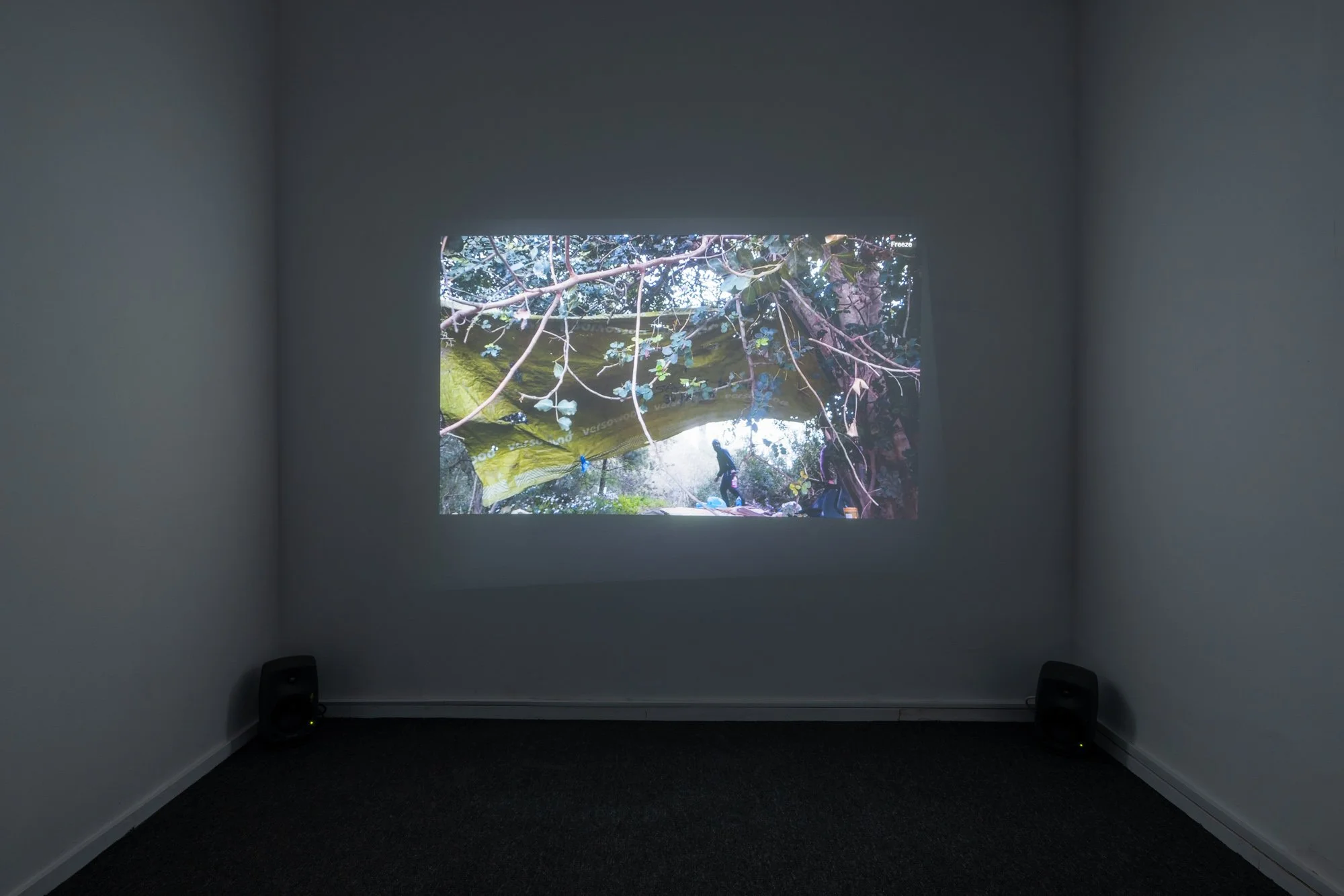 Green Territory, Artport Gallery Tel-Aviv