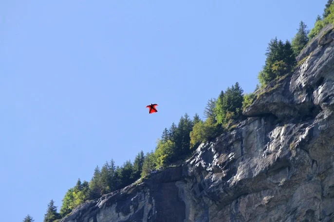 Südafrikaner in Stechelberg zum schnellsten Mann der Welt gekürt