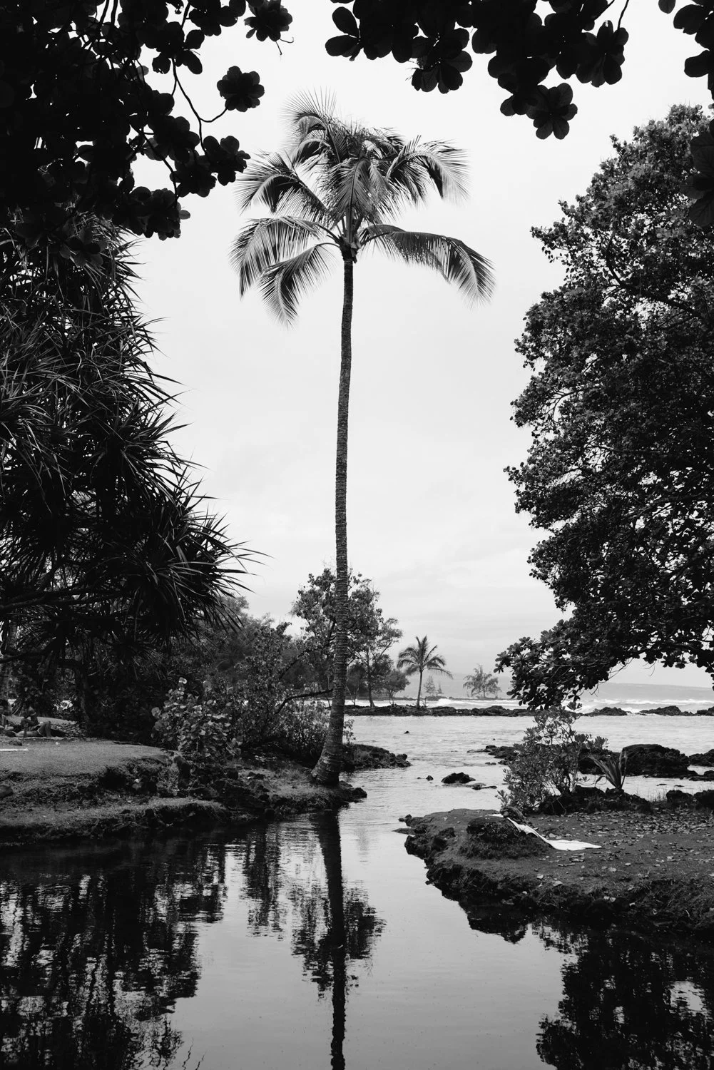 hawaii-bigisland-2021-ijfkeridgley-web-21.jpg