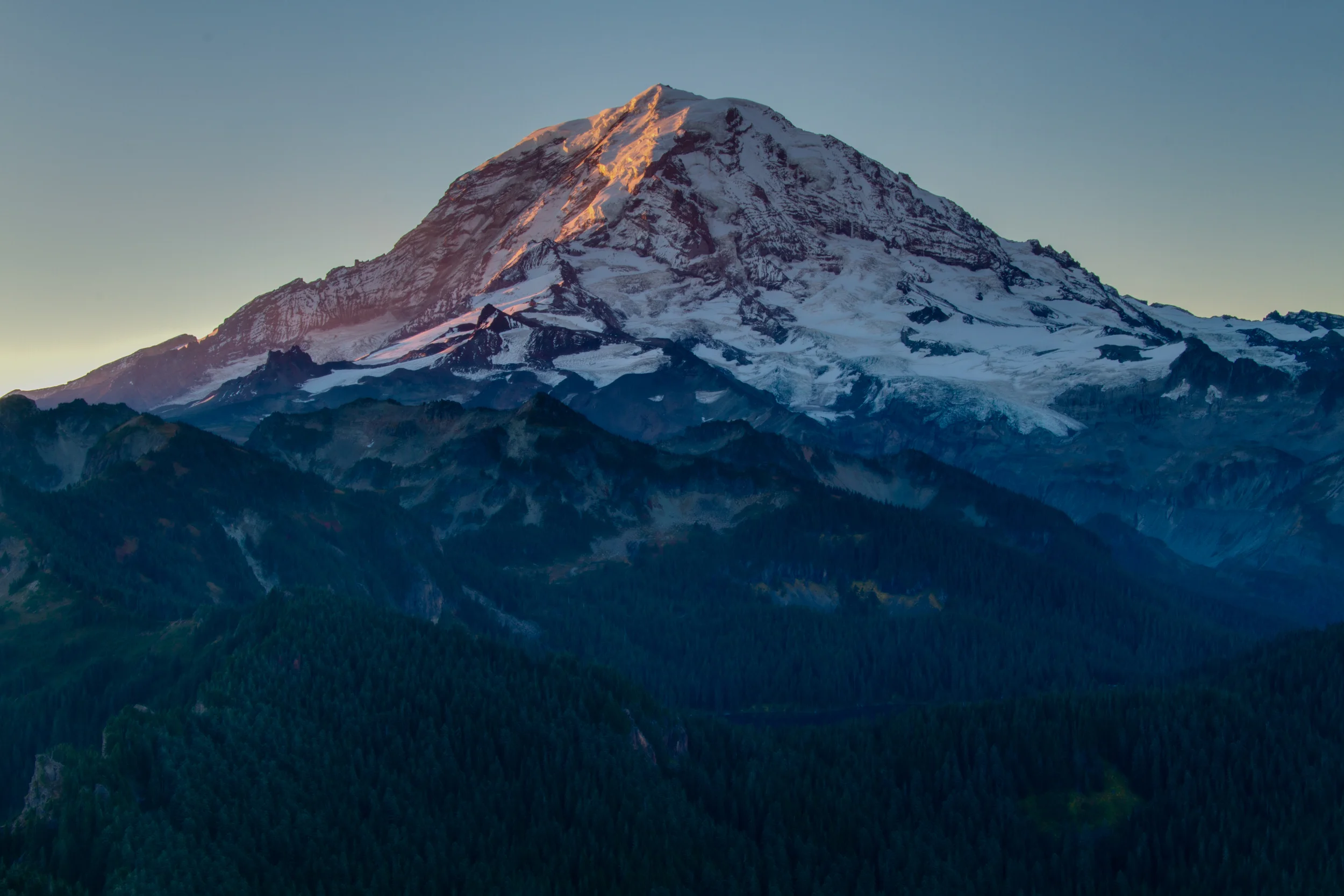 RainierFL-1.jpg
