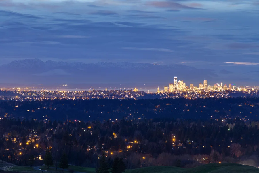 Puget Views