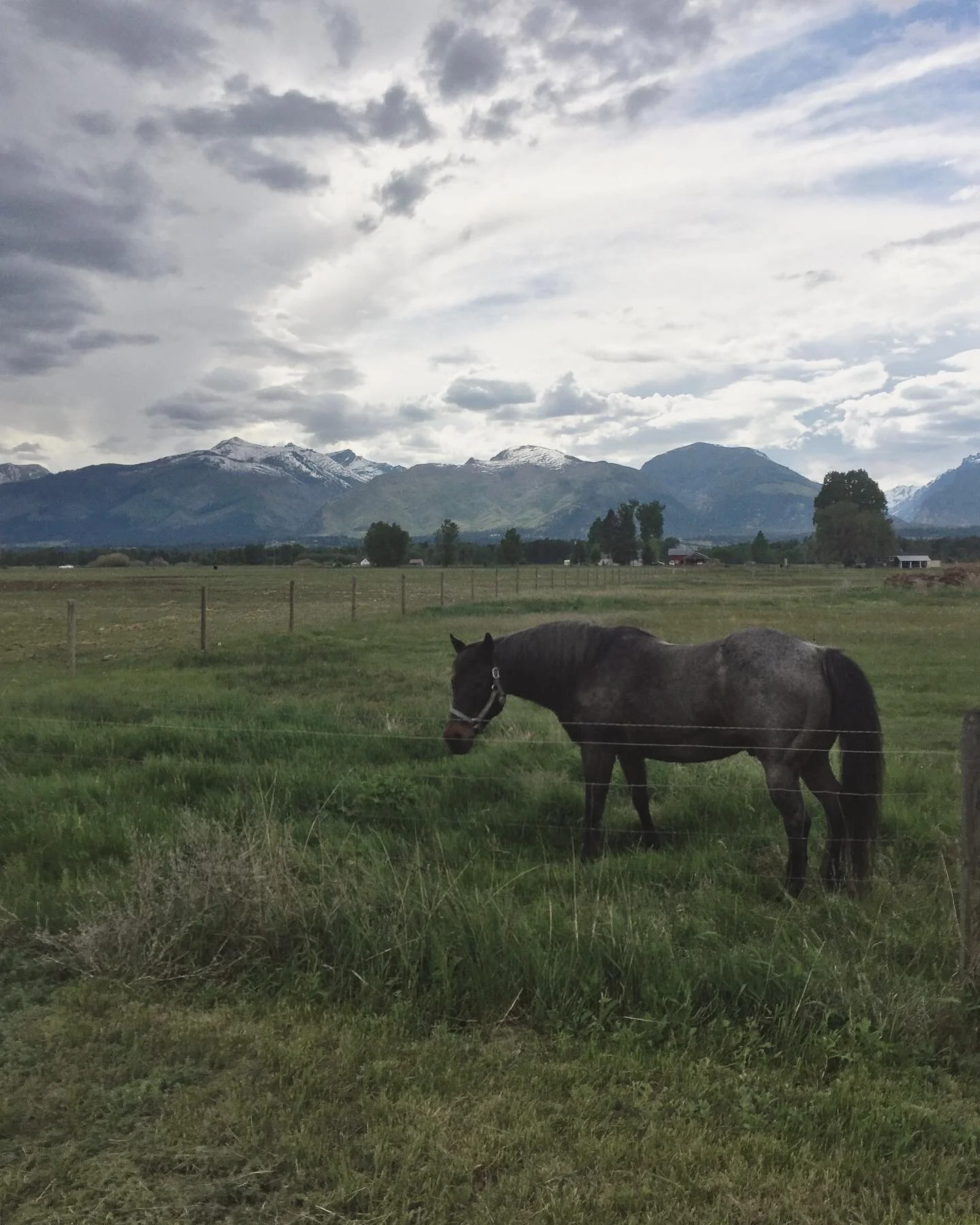 Wild friends and new places