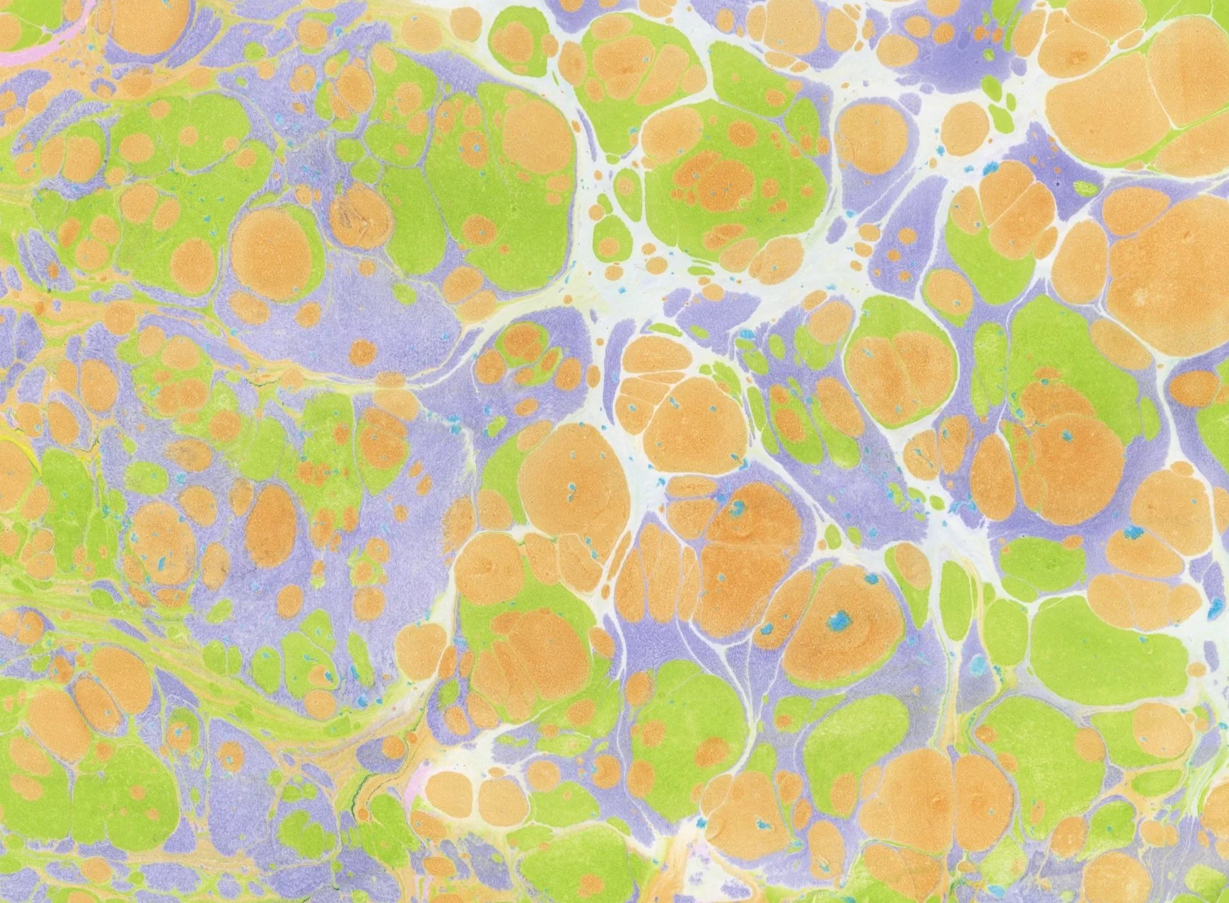 Marbled+Papers_04_2.jpg