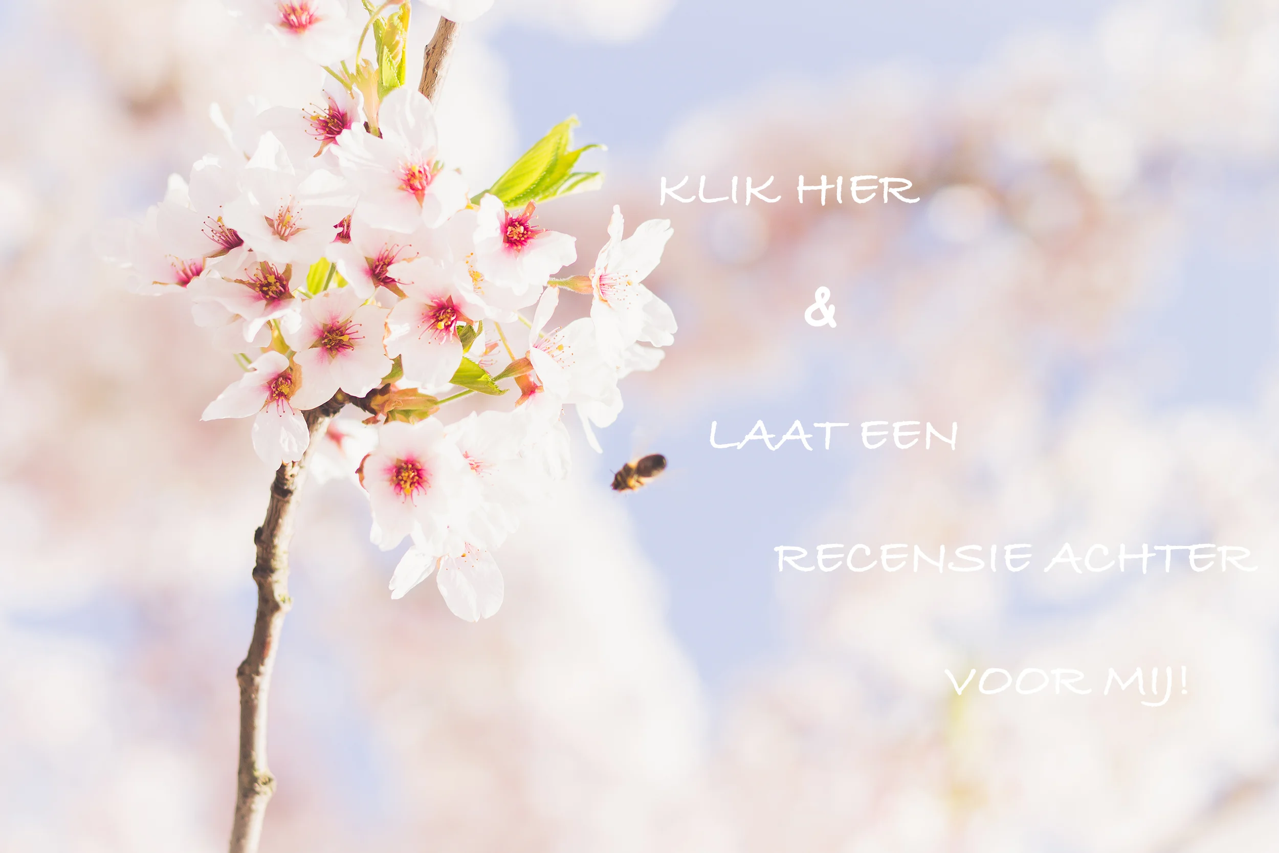 RECENSIES