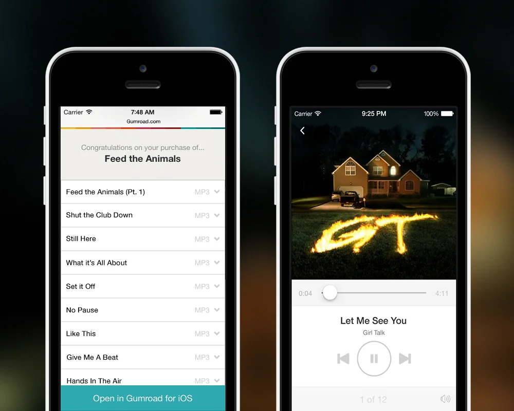   Gumroad Dashboard App  