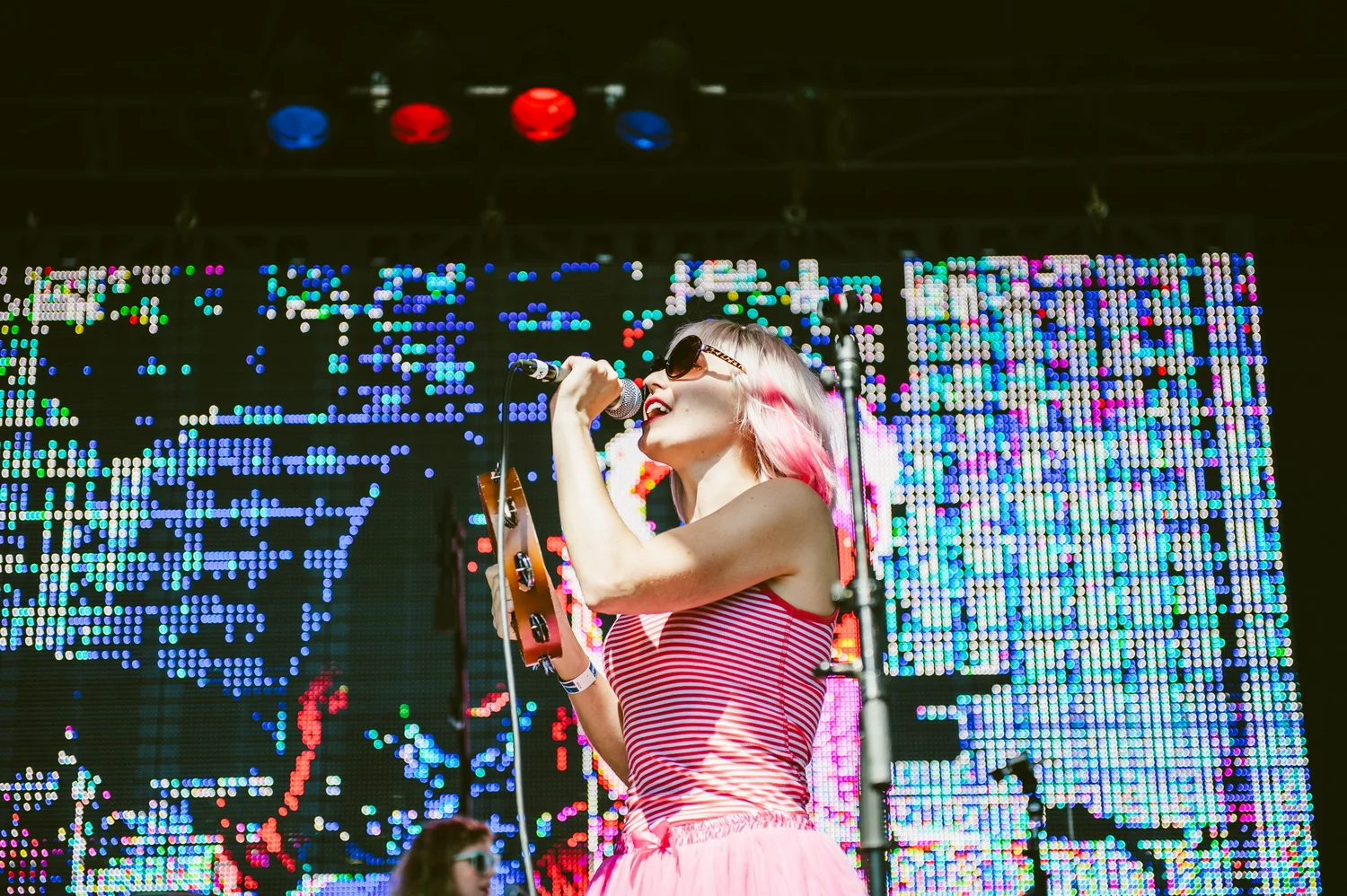 Tacocat-2.JPG