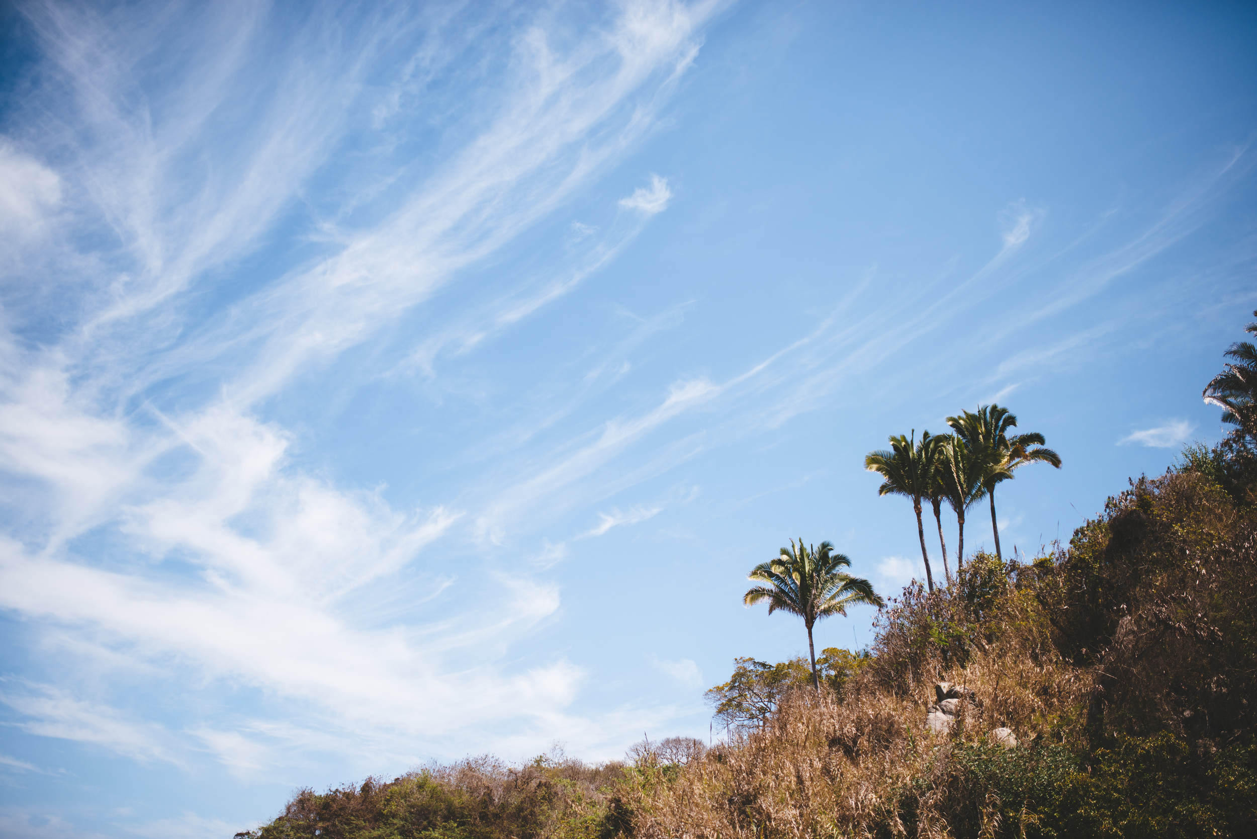 Steve & Mika - Sayulita - © Dallas Kolotylo Photography - 82.jpg