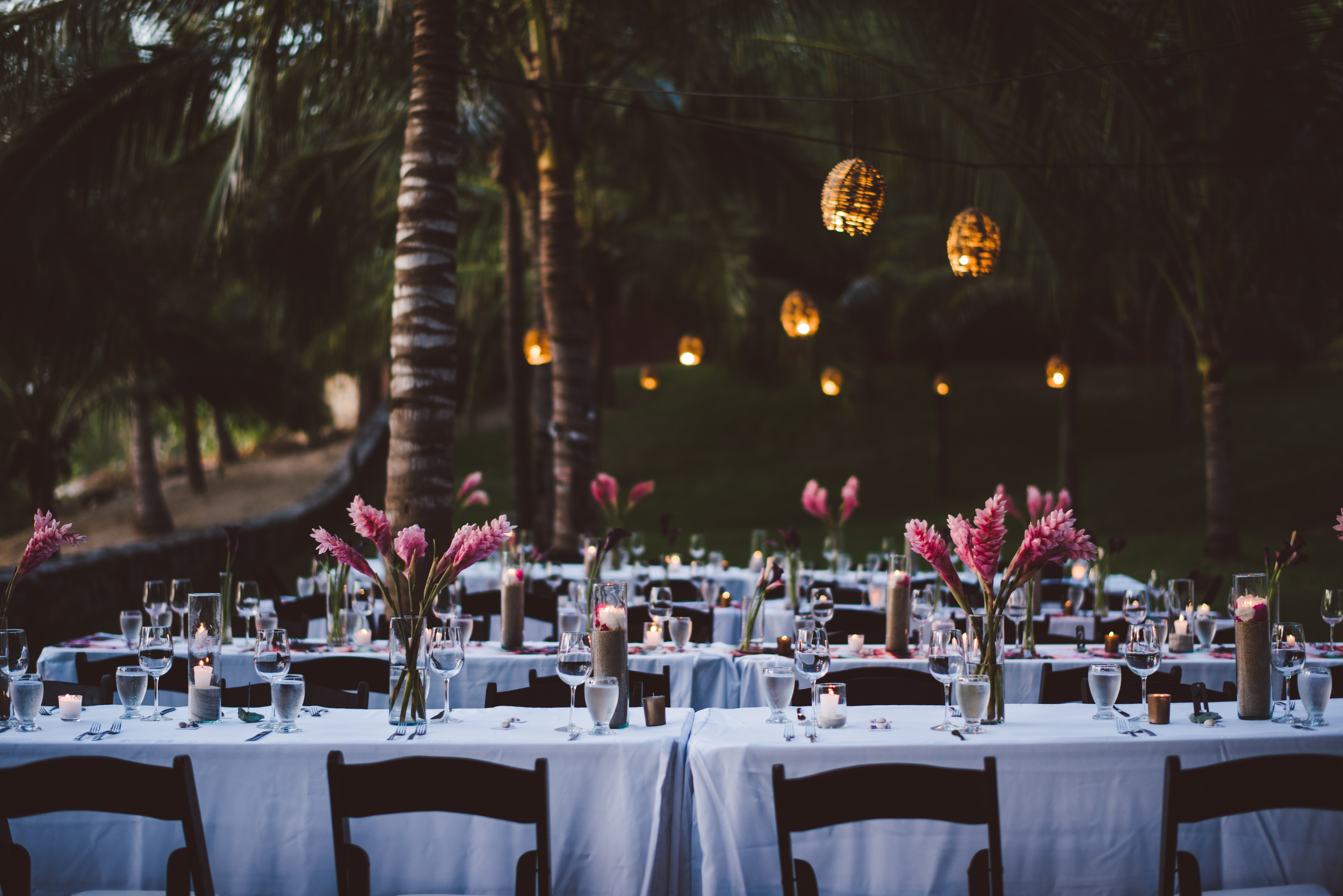 Steve & Mika - Sayulita - © Dallas Kolotylo Photography - 924.jpg