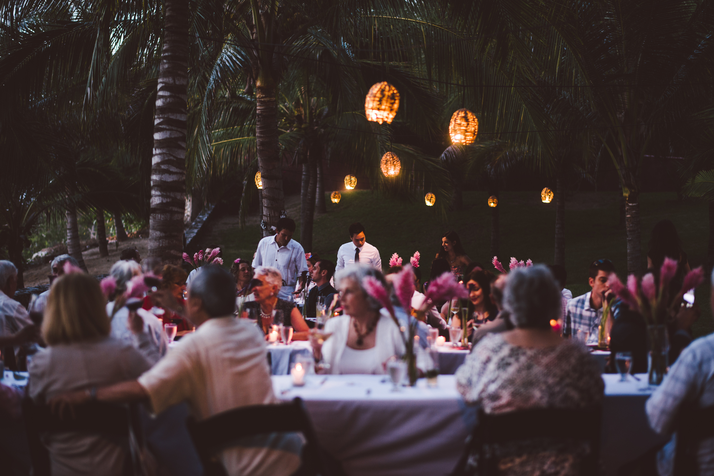 Steve & Mika - Sayulita - © Dallas Kolotylo Photography - 953.jpg