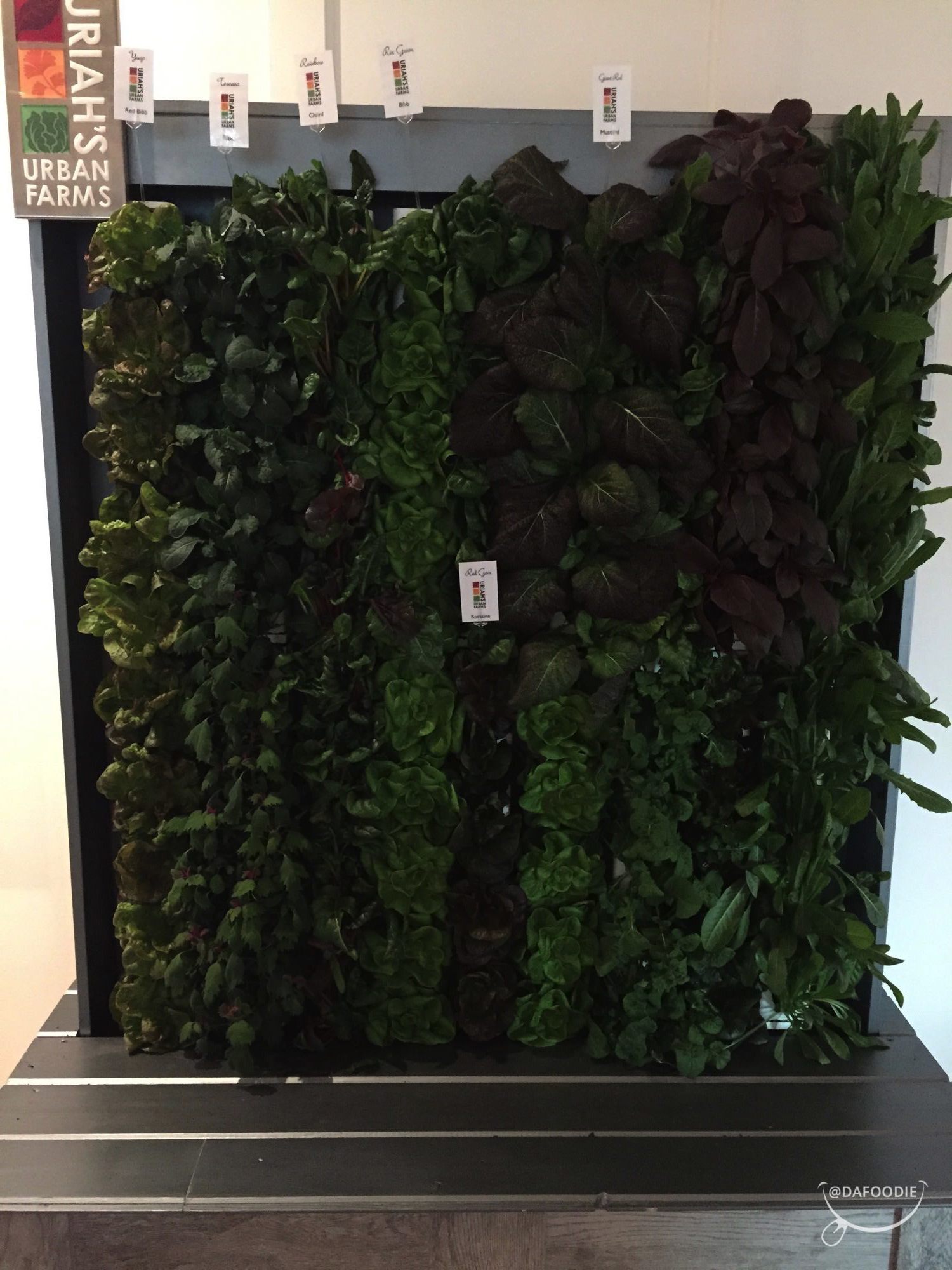 The Herb structure inside the restaurant.