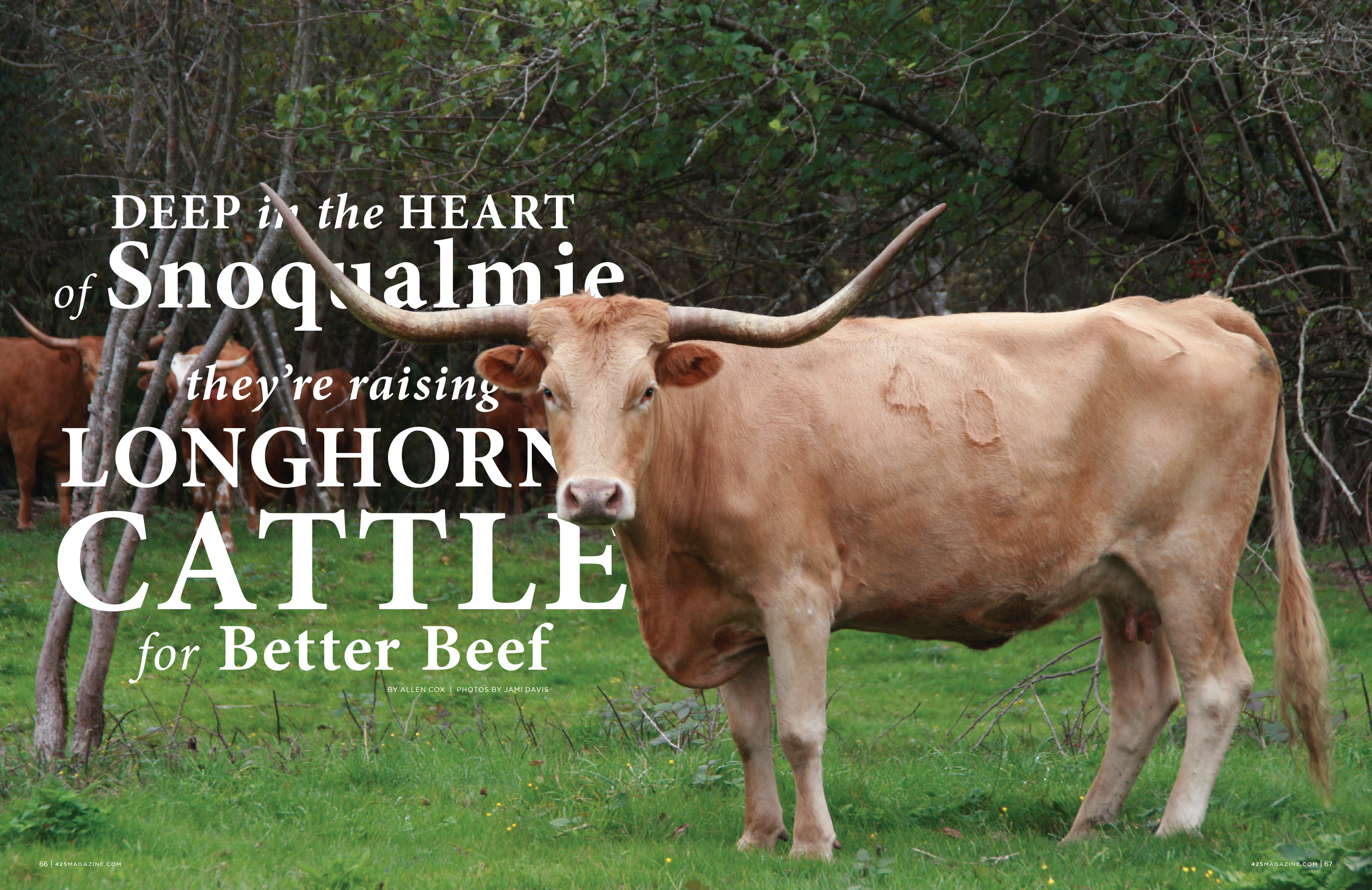 425_MarApril_11_SnoCattle.png