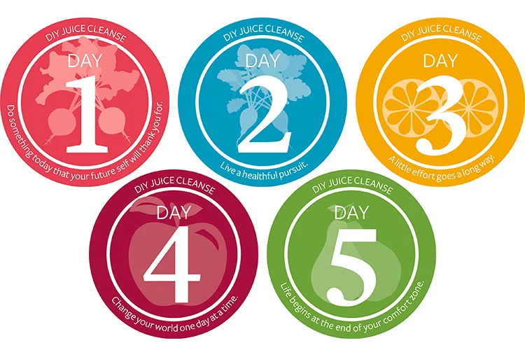  Cleanse Stickers&nbsp; 