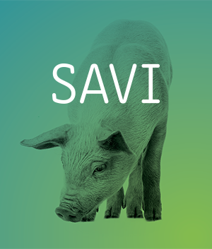 Savi_Preview_300x353.png