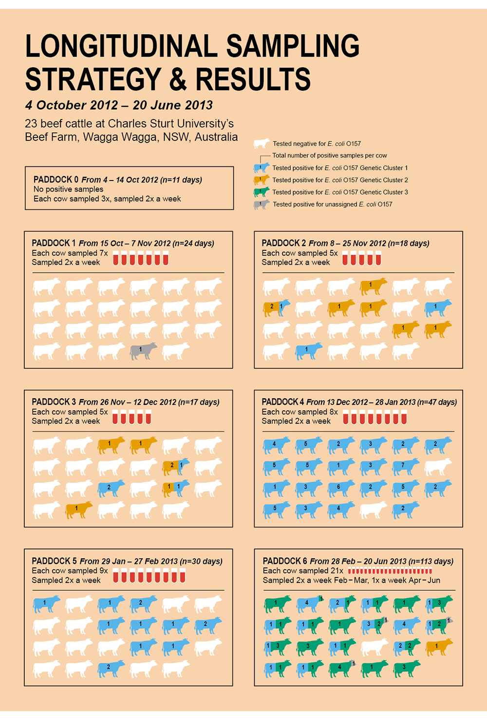 Ecoli_LongitudeSampling_Infographic_131217.png