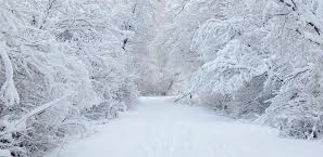 Snow means new beginnings to me.