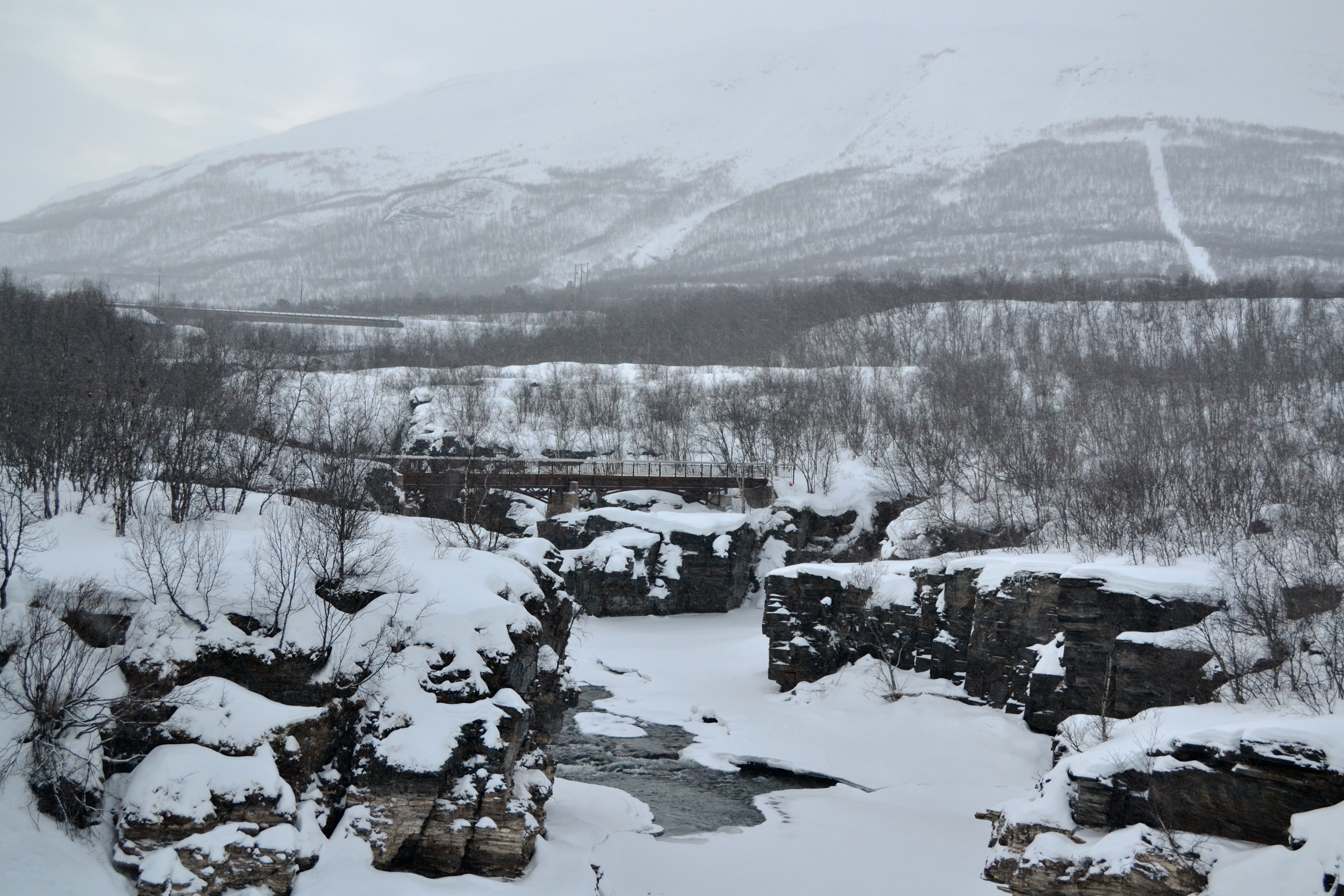 SWEDEN: In search of the northern lights in Abisko National Park