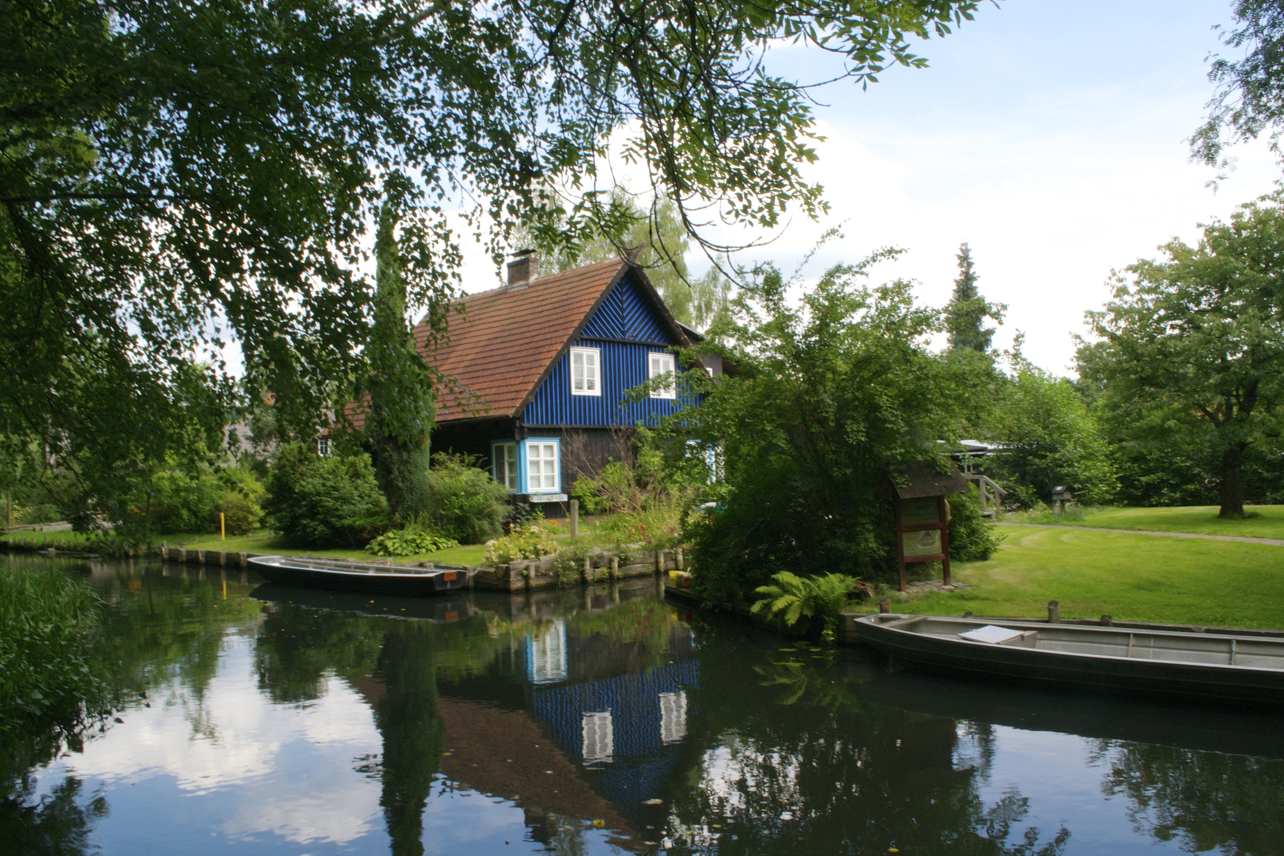 DSC_0218.jpg