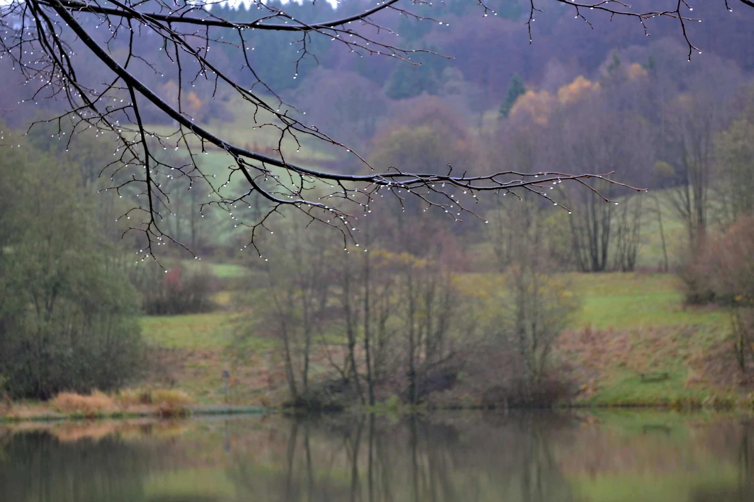 Wasserkuppe, 11/12/2013
