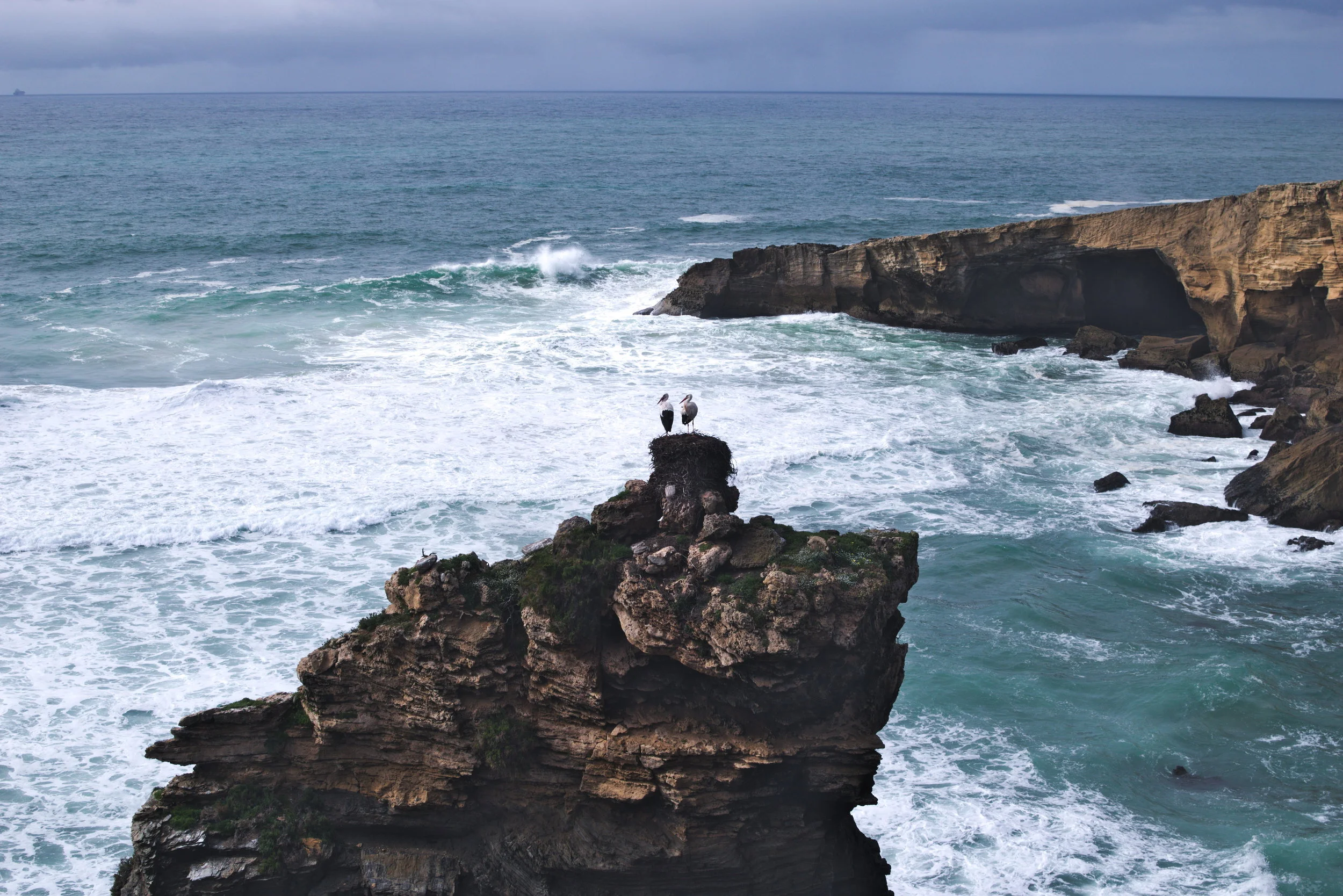 A COUPLE OF STORKS WE PASSED ALONG THE WAY FROM PORTO COVO AND VILA NOVA DE MILFONTES