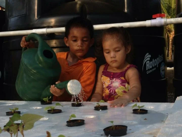 Newsletter: February 2016