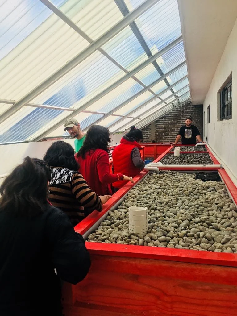 Celebrations are in order! 🇲🇽 👧🏾🧒🏽🌱🐟