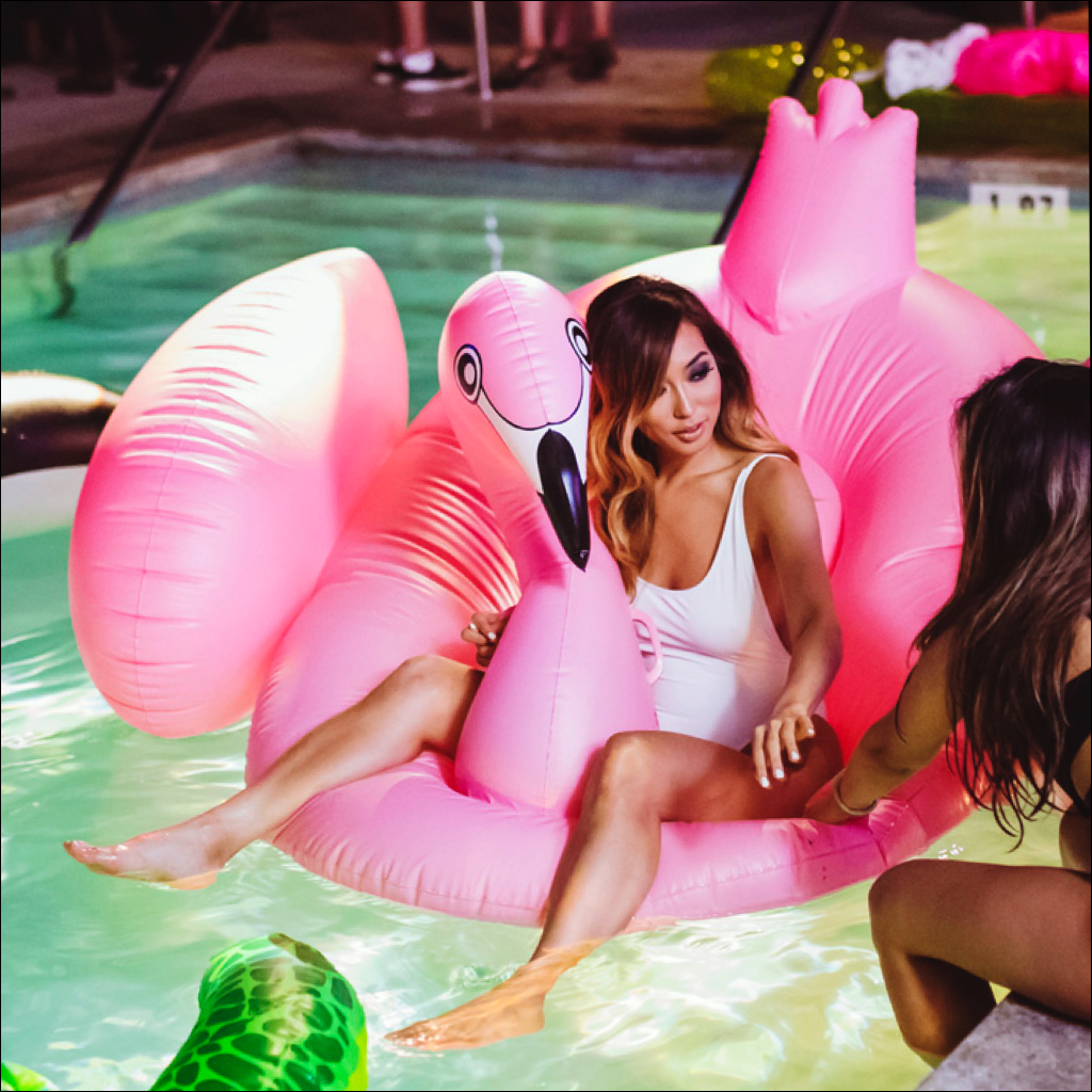 CLICK TO VIEW PHOTOS