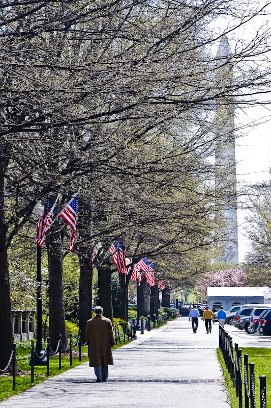 dc spring regalia series - pedestrian by flags.jpg