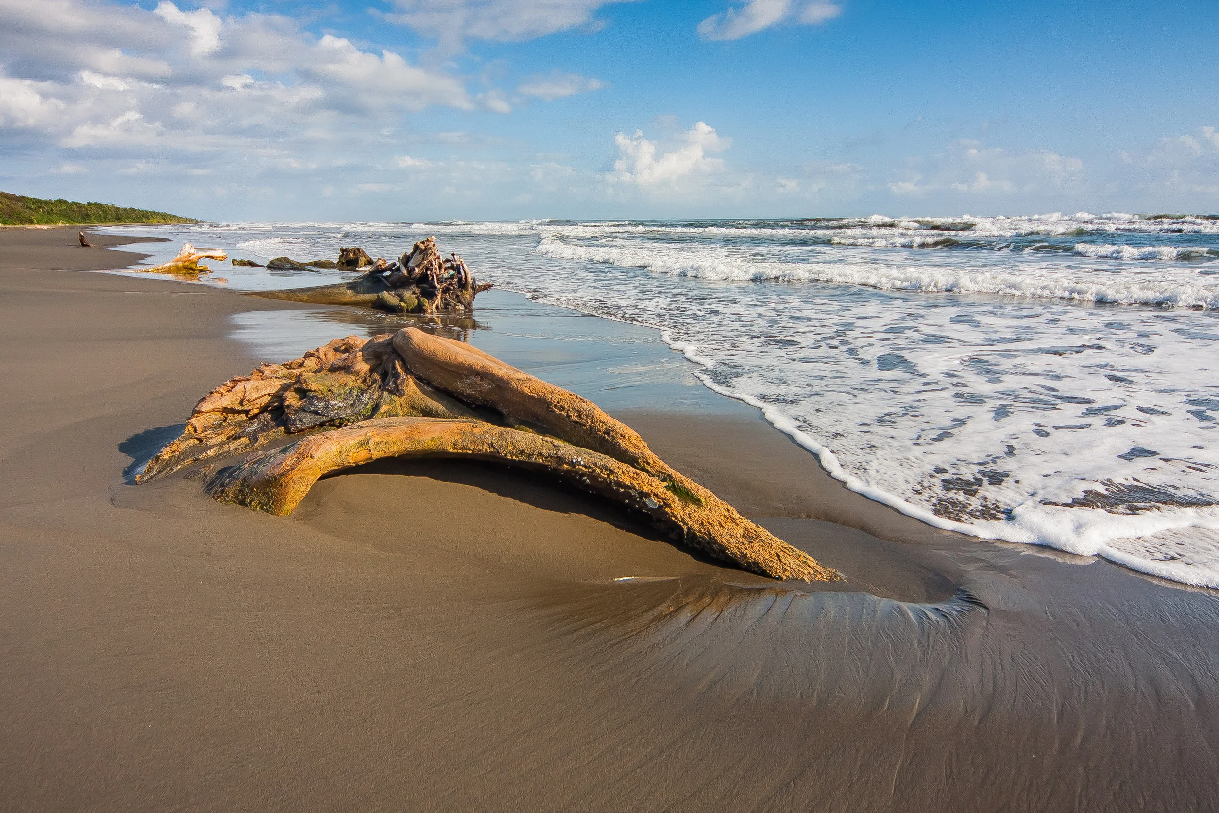 Take time to explore the miles of mostly-deserted black-sand beaches around Puerto Viejo.