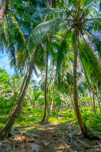 NIC LCI island getaway 201604 -09957.jpg