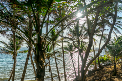 NIC LCI island getaway 201604 -09871.jpg