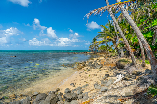 NIC LCI island getaway 201604 -09955.jpg